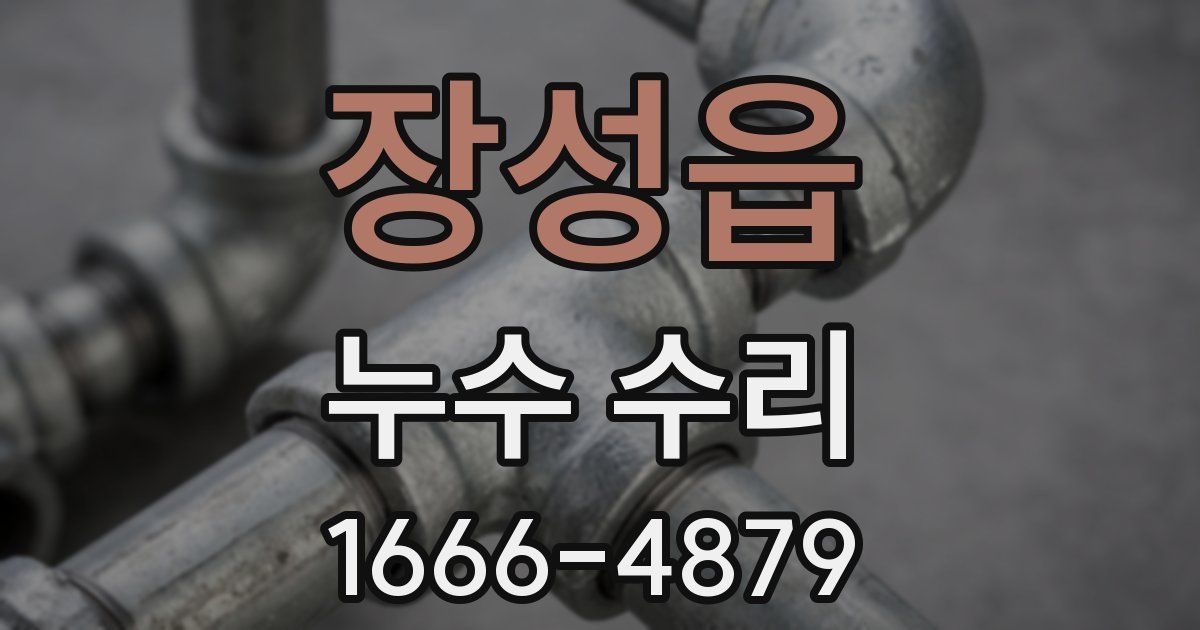 장성읍 누수 수리