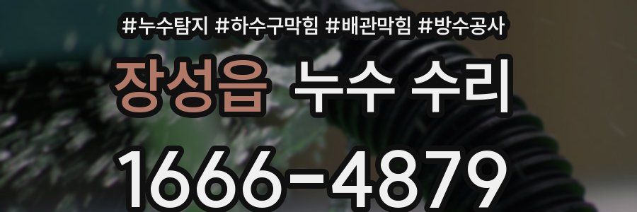 장성읍 누수 수리