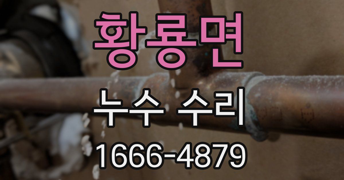 황룡면 누수 수리