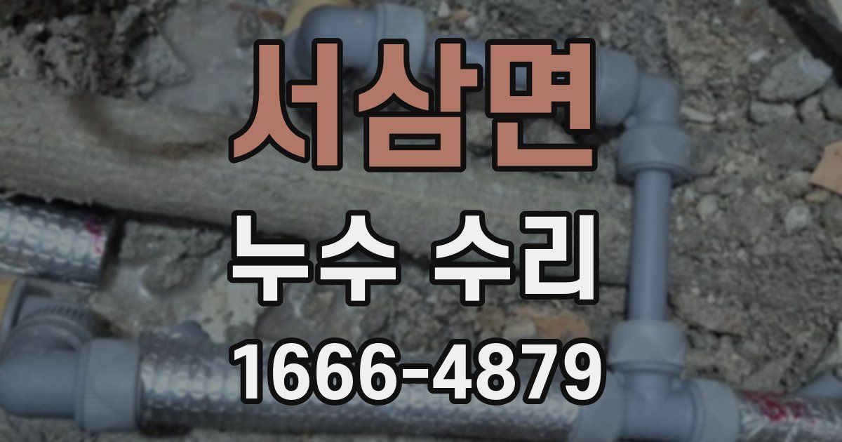 서삼면 누수 수리
