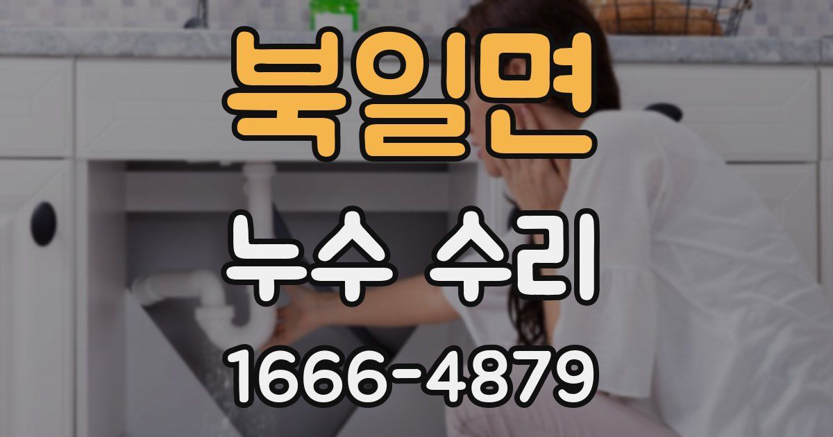 북일면 누수 수리