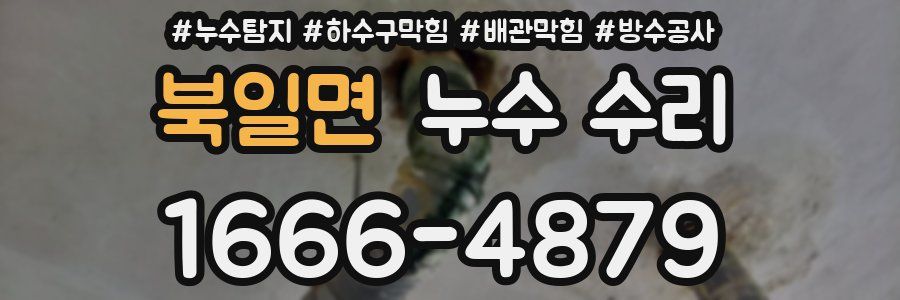 북일면 누수 수리