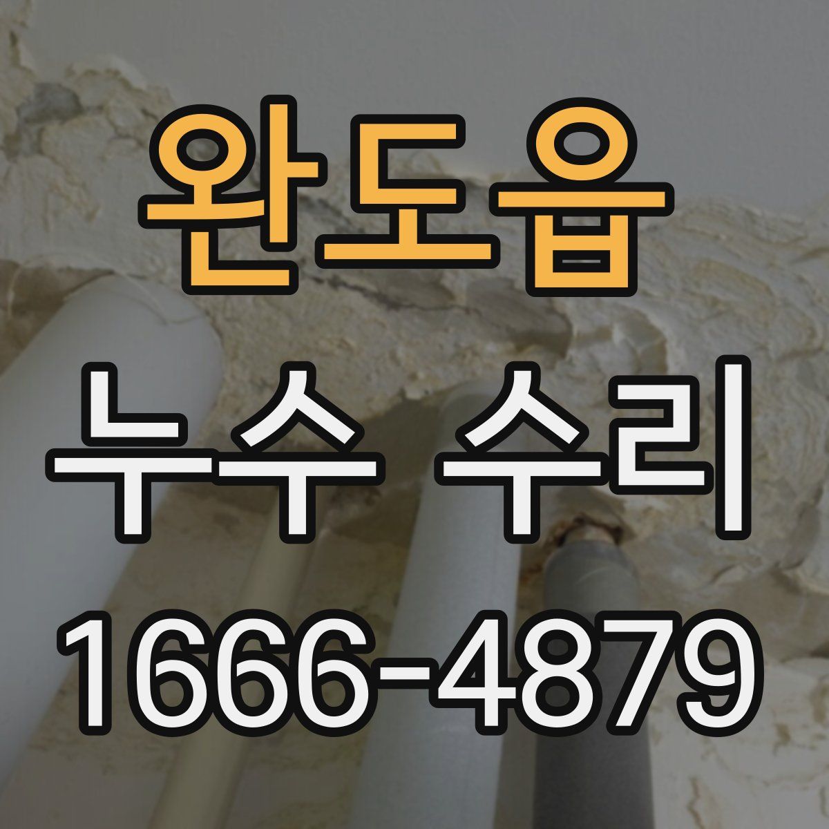 완도읍 누수 수리