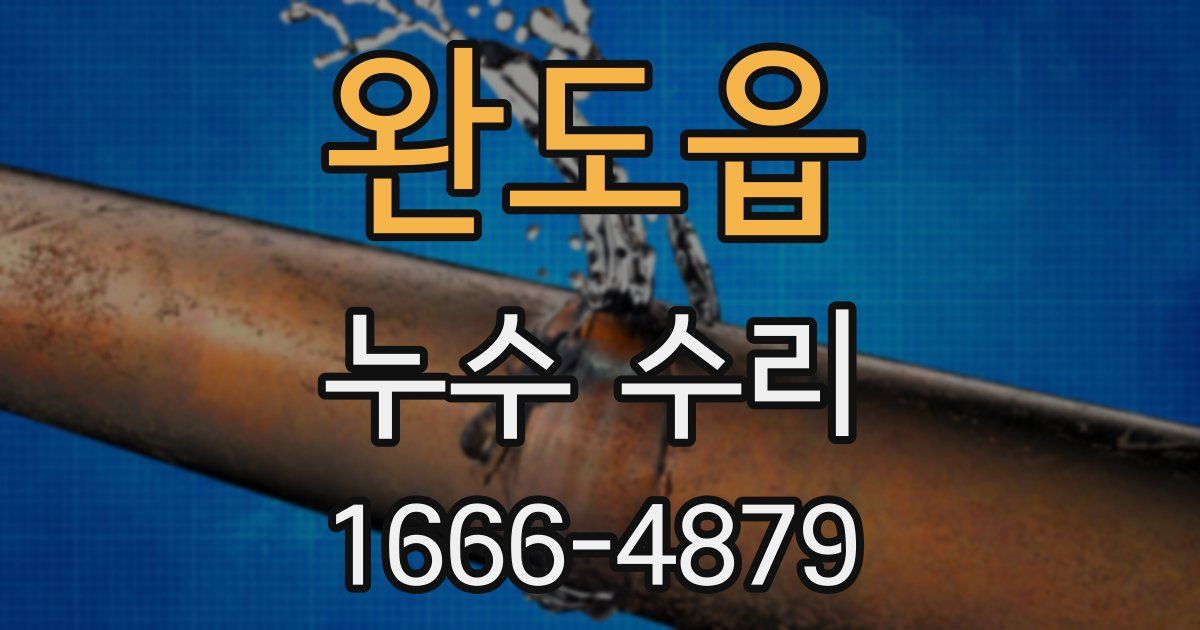 완도읍 누수 수리