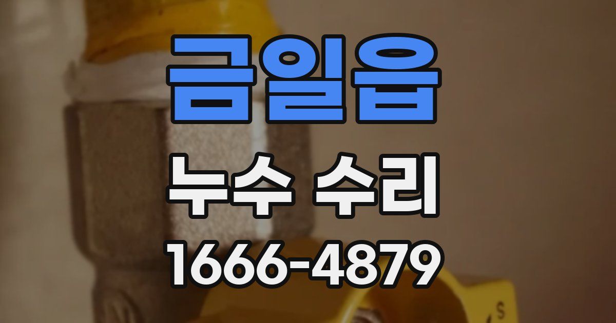 금일읍 누수 수리