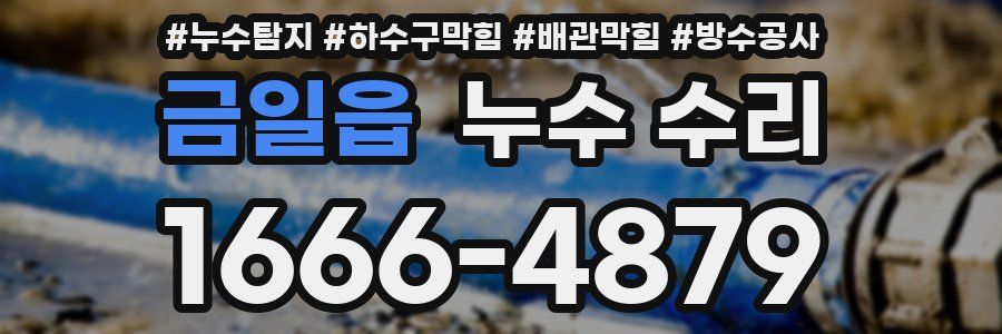 금일읍 누수 수리