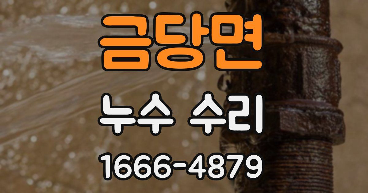 금당면 누수 수리