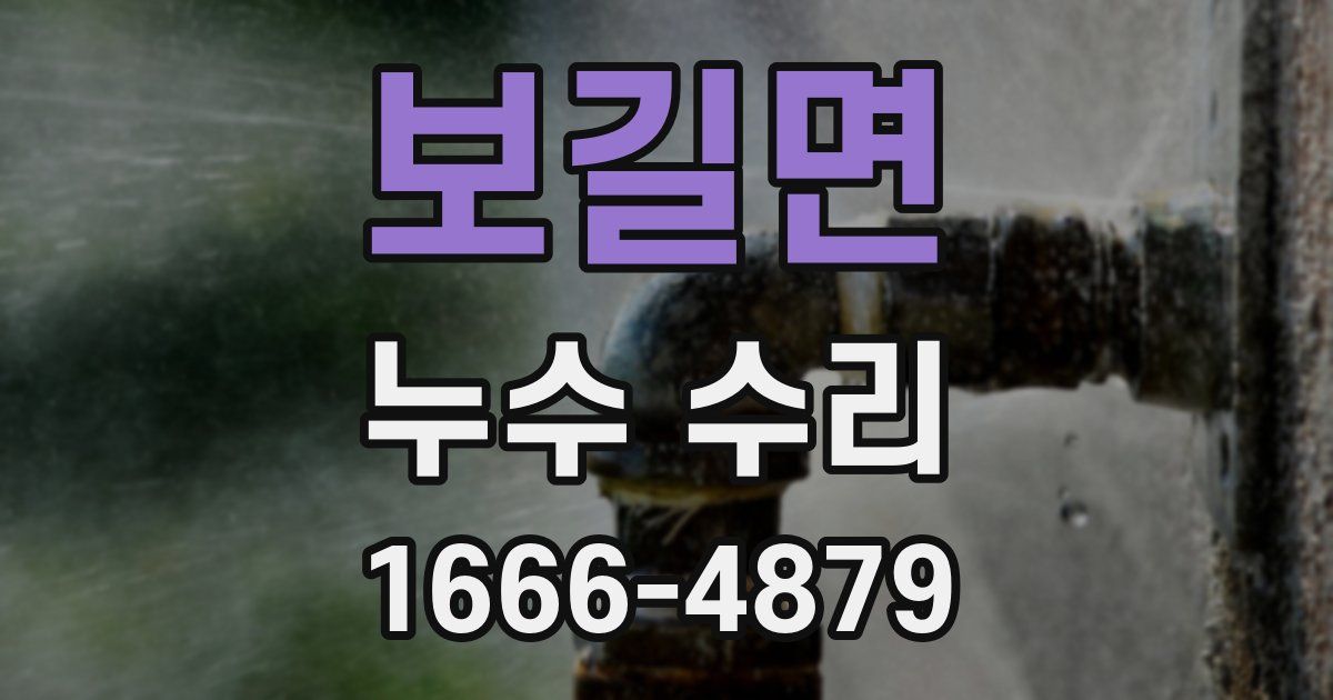 보길면 누수 수리