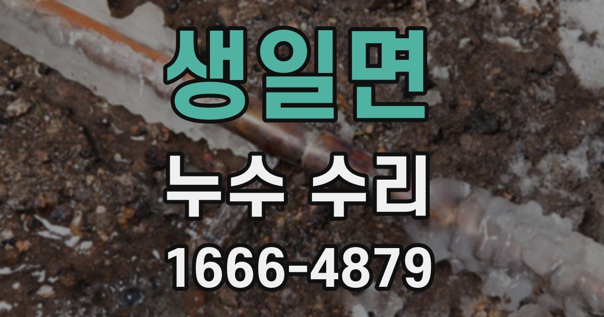 생일면 누수 수리