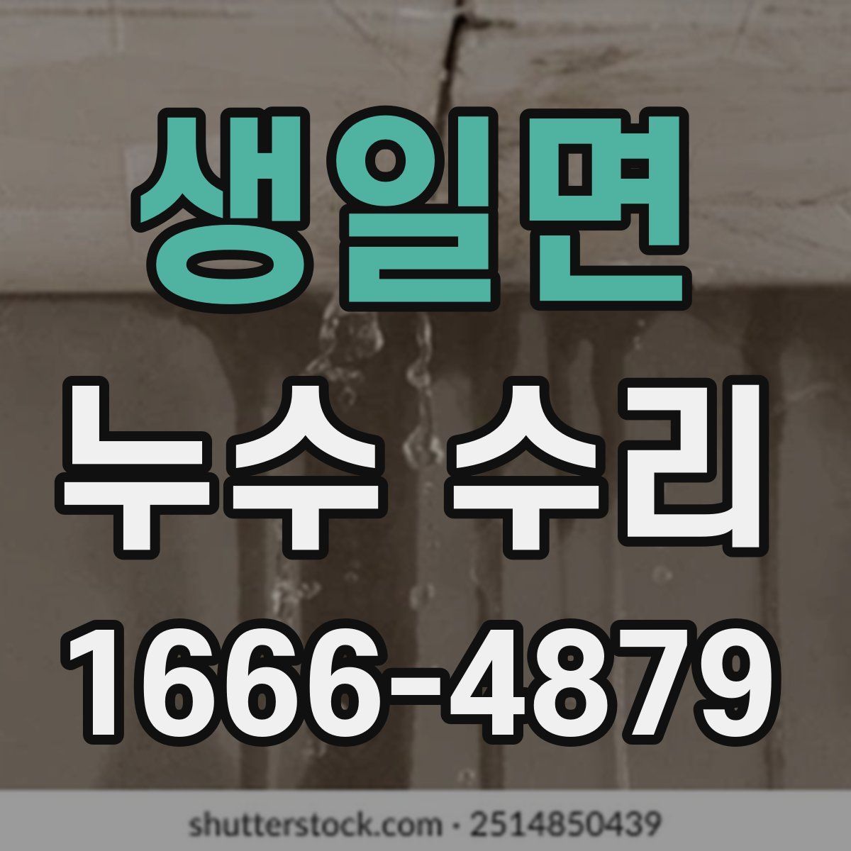 생일면 누수 수리