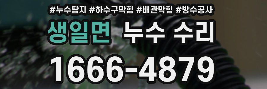 생일면 누수 수리