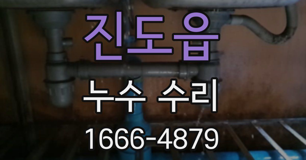 진도읍 누수 수리