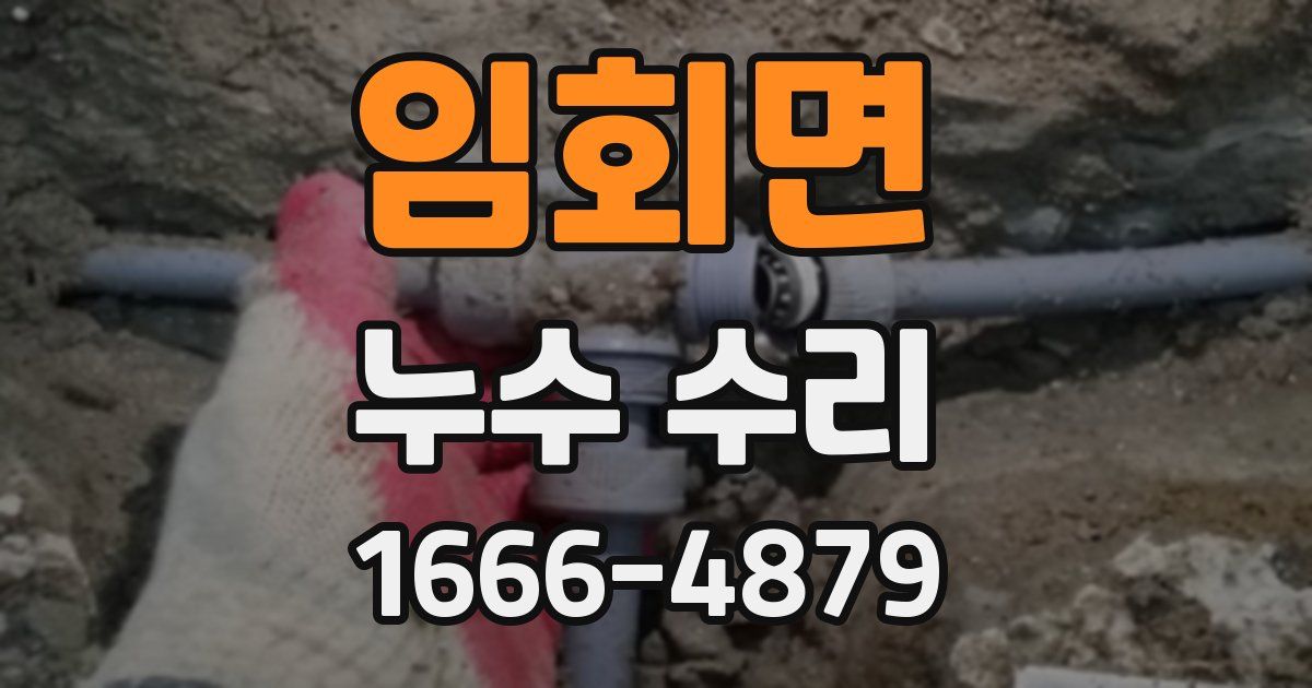 임회면 누수 수리