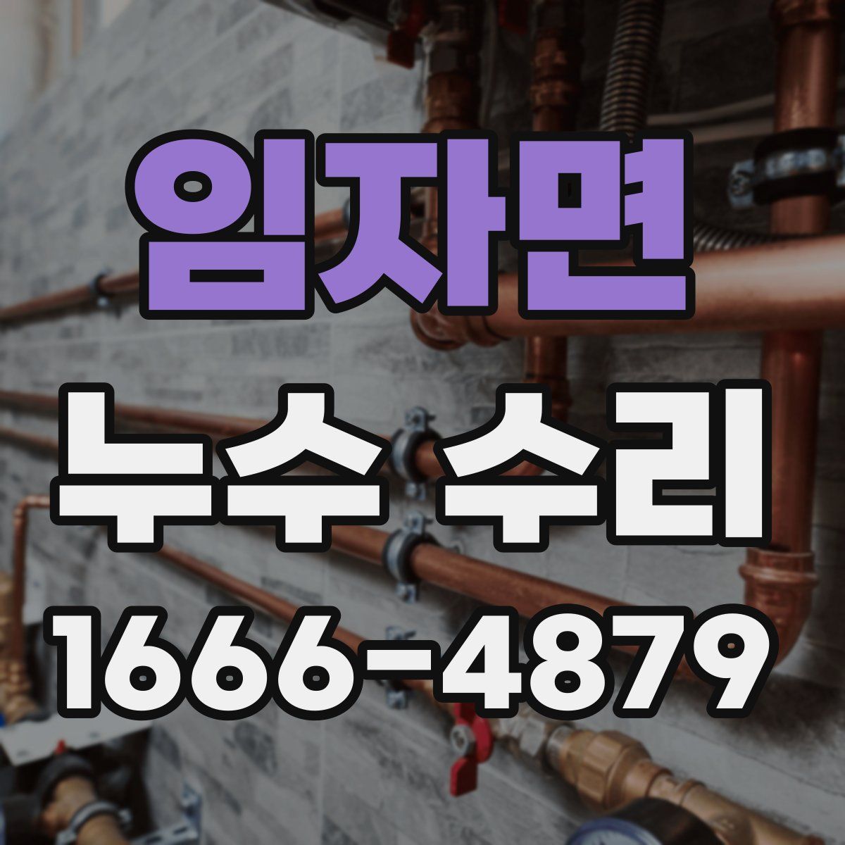 임자면 누수 수리