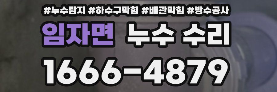 임자면 누수 수리