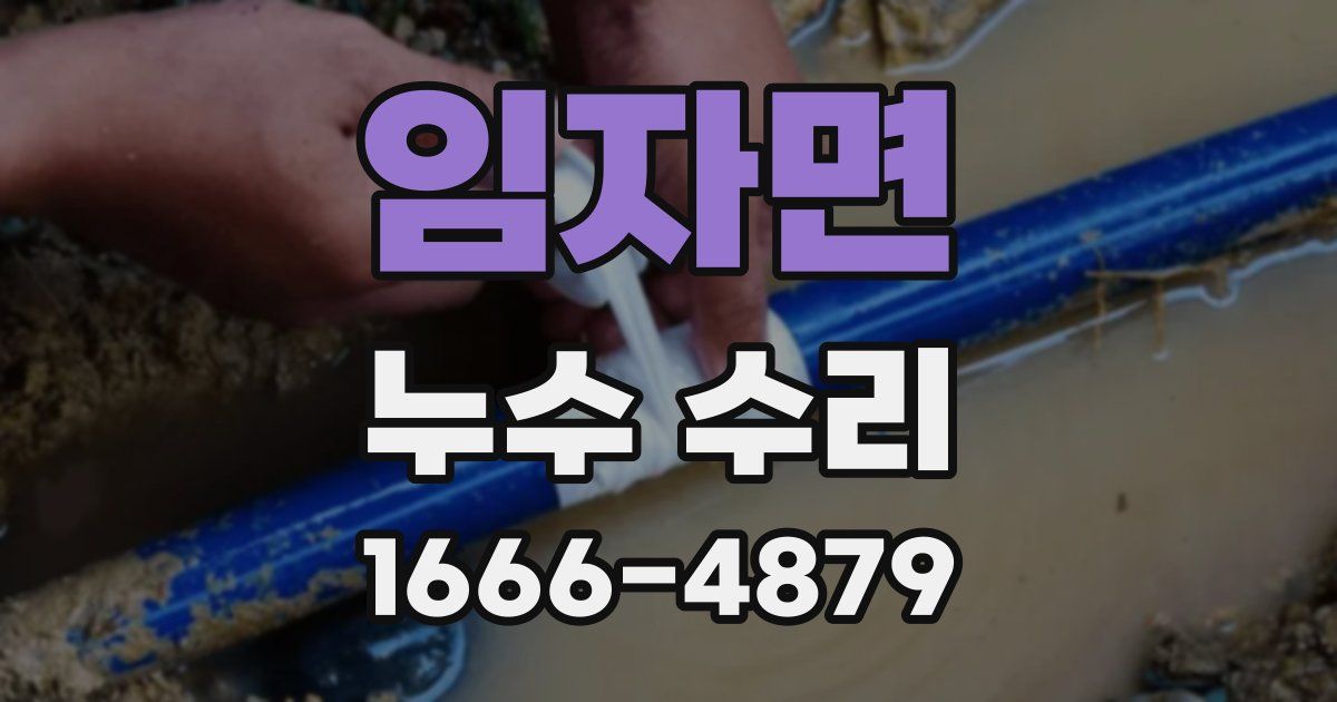 임자면 누수 수리