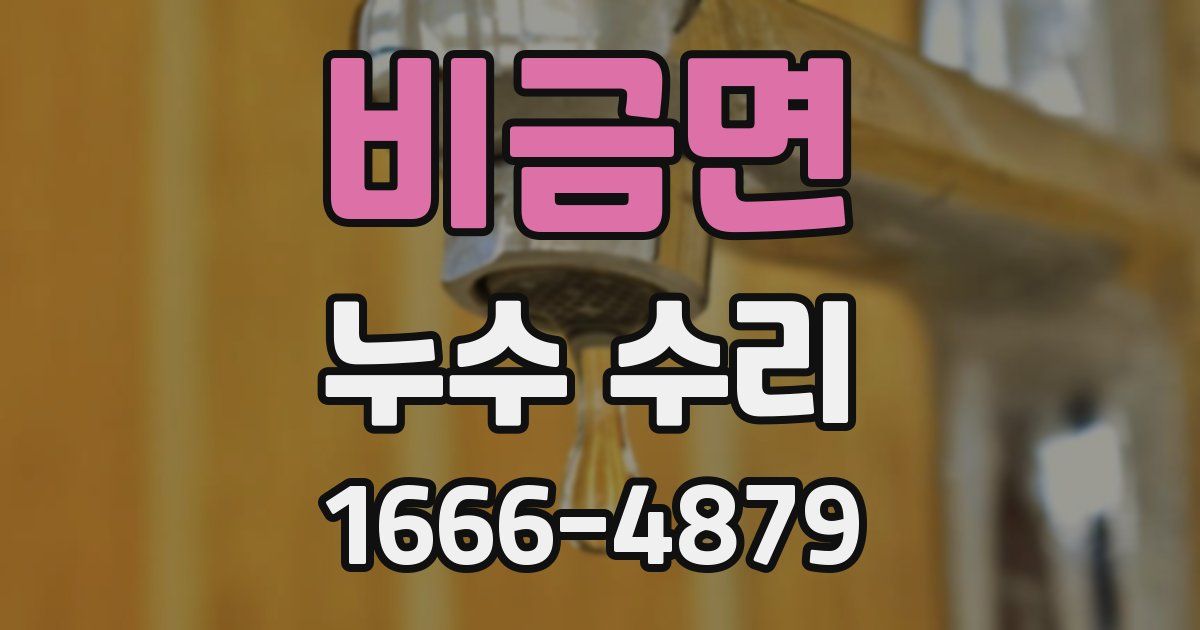 비금면 누수 수리