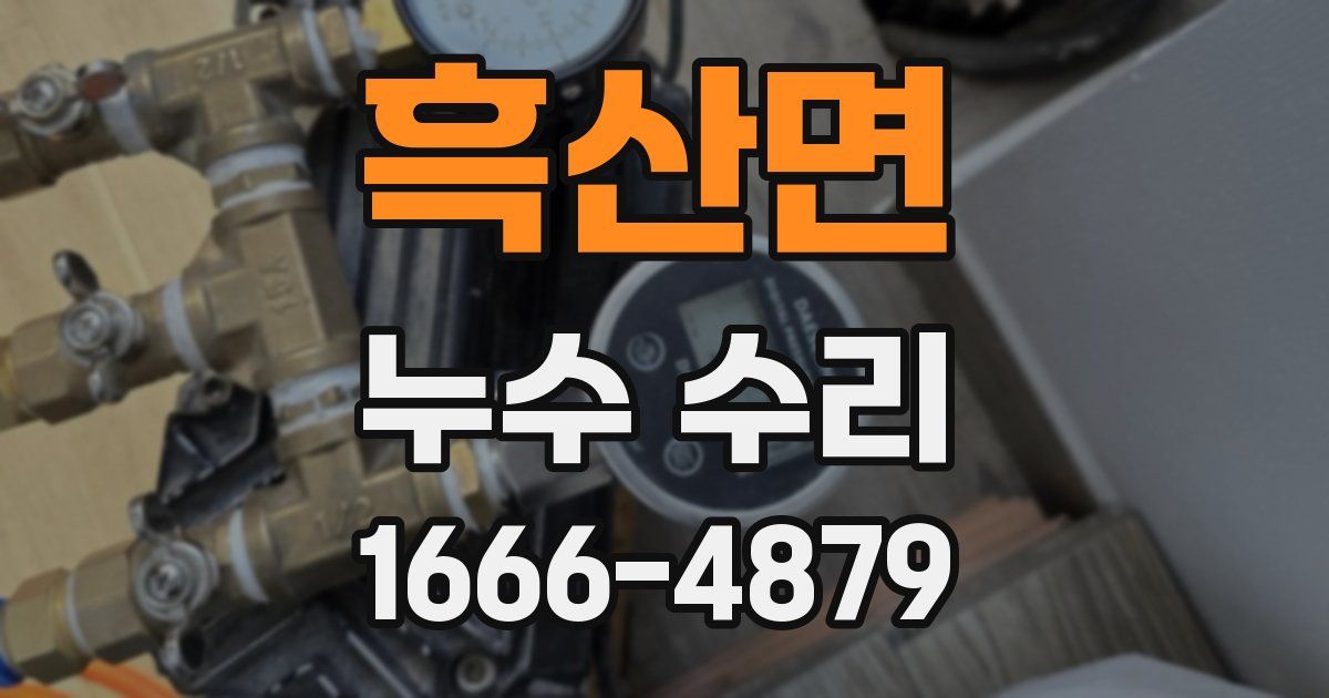 흑산면 누수 수리