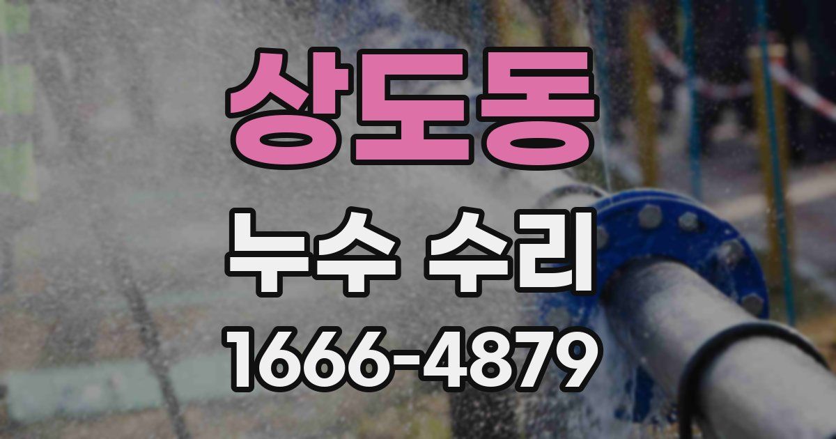 상도동 누수 수리