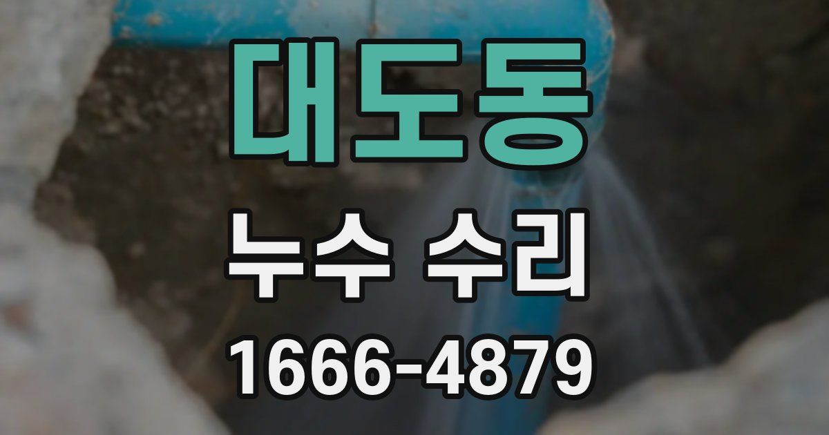 대도동 누수 수리