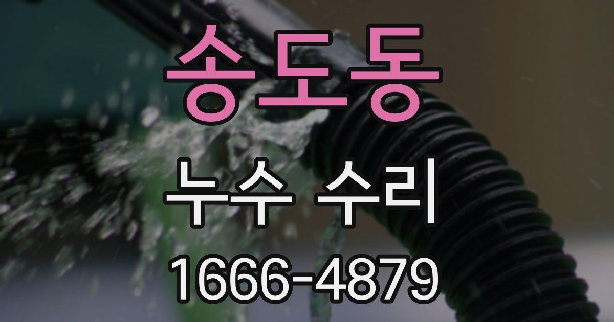 송도동 누수 수리