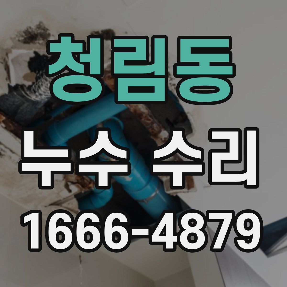 청림동 누수 수리