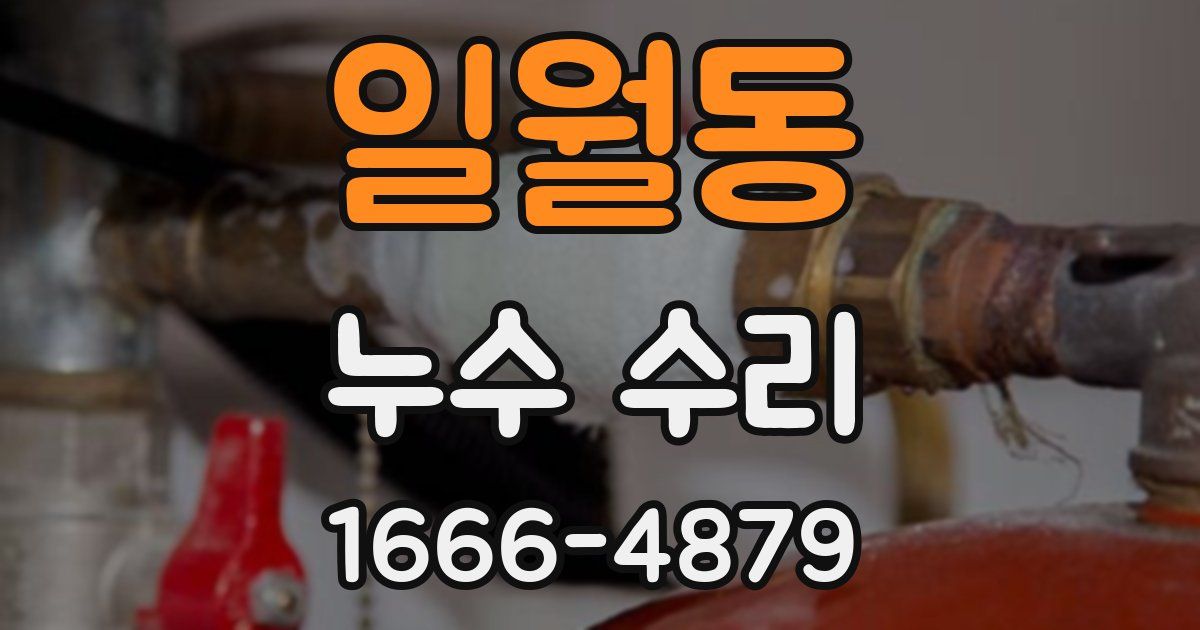 일월동 누수 수리