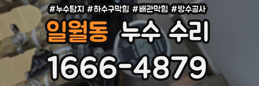 일월동 누수 수리