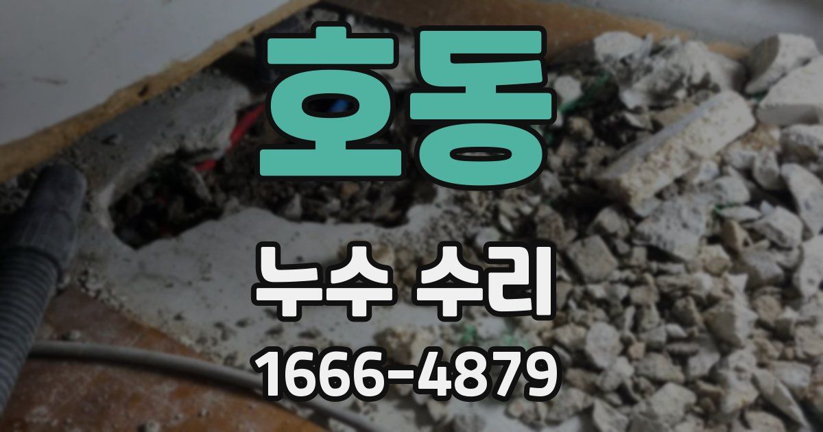 호동 누수 수리