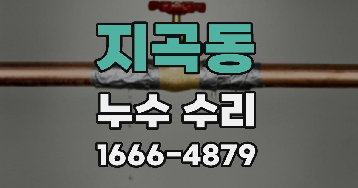 지곡동 누수 수리
