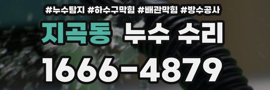 지곡동 누수 수리