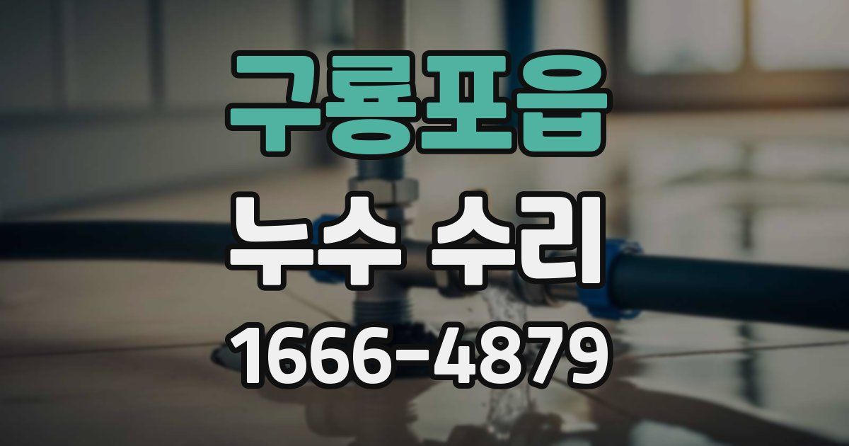 구룡포읍 누수 수리