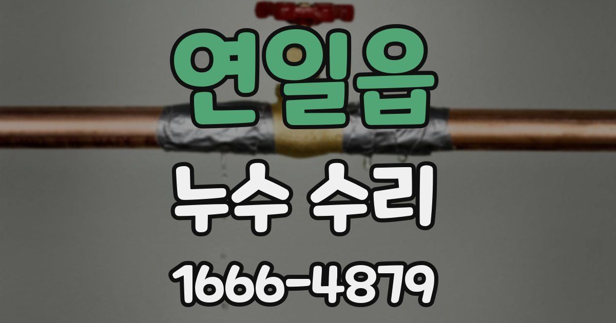 연일읍 누수 수리