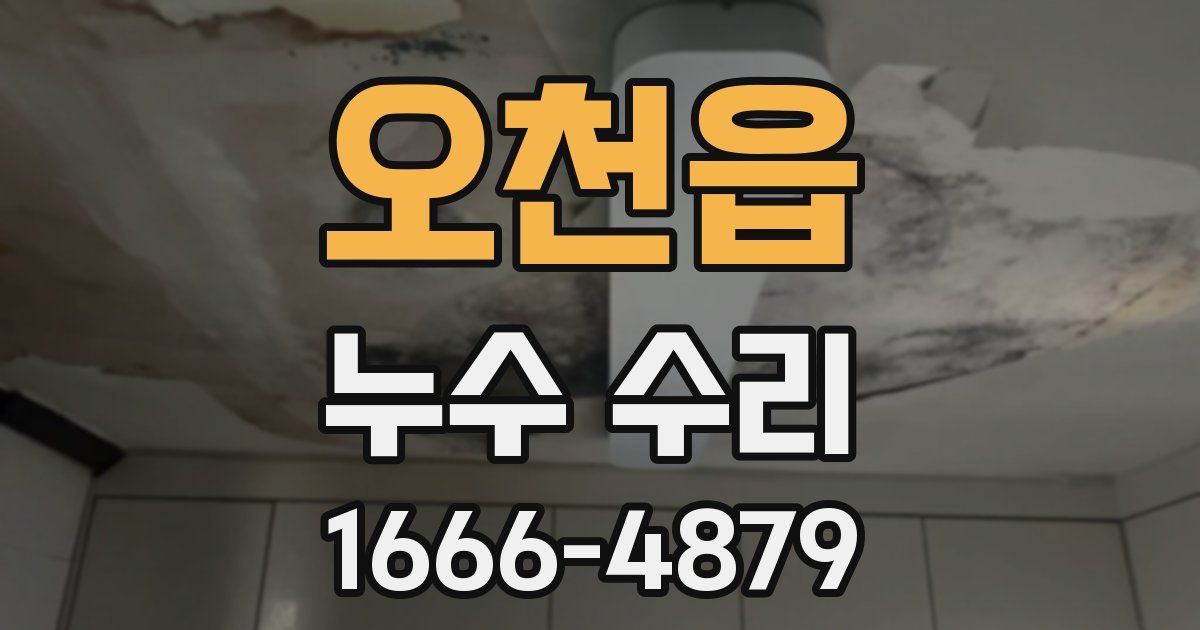 오천읍 누수 수리