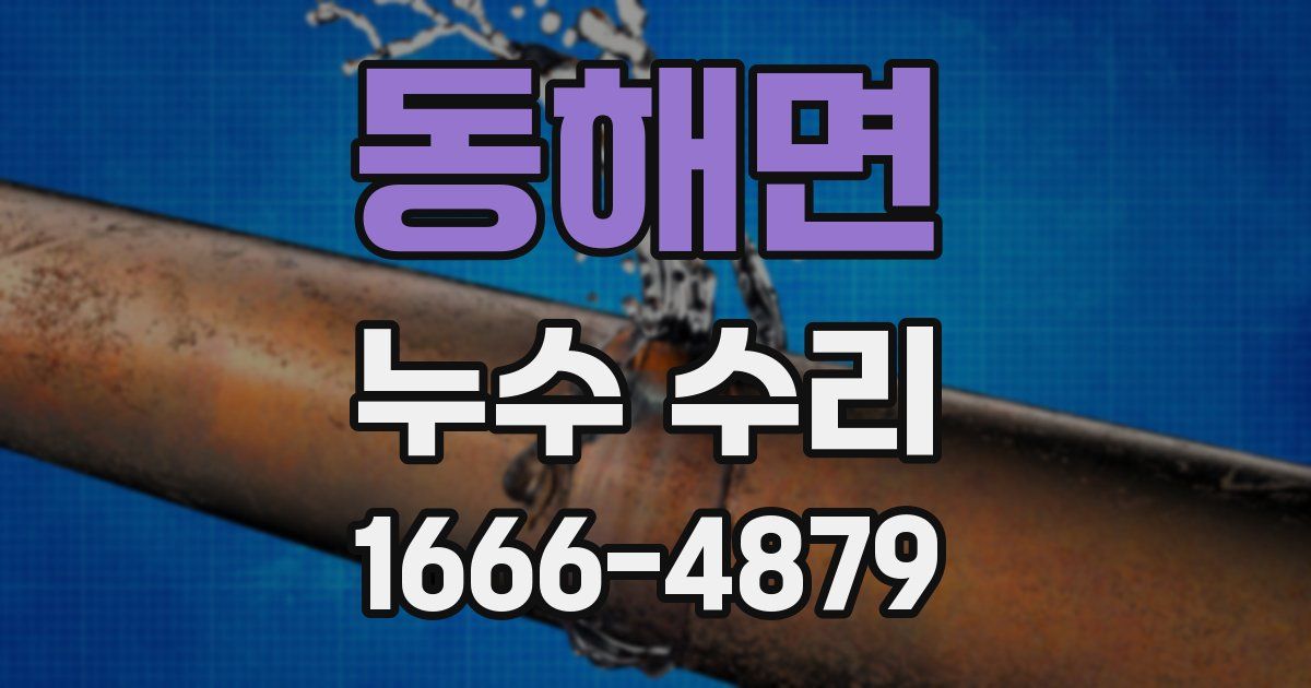 동해면 누수 수리