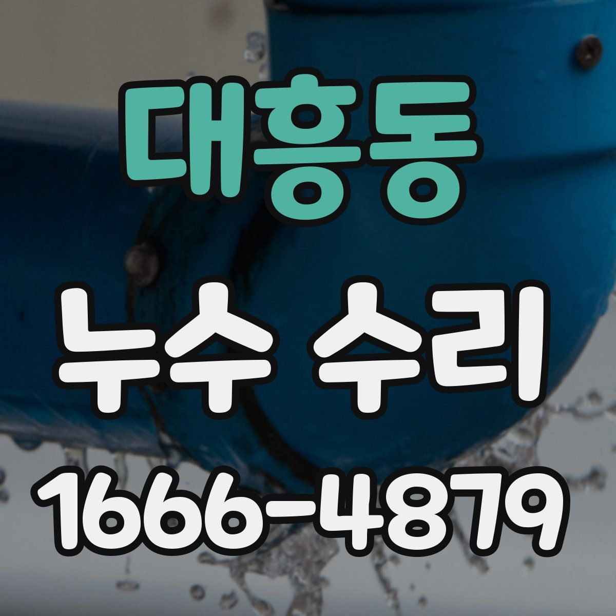 대흥동 누수 수리