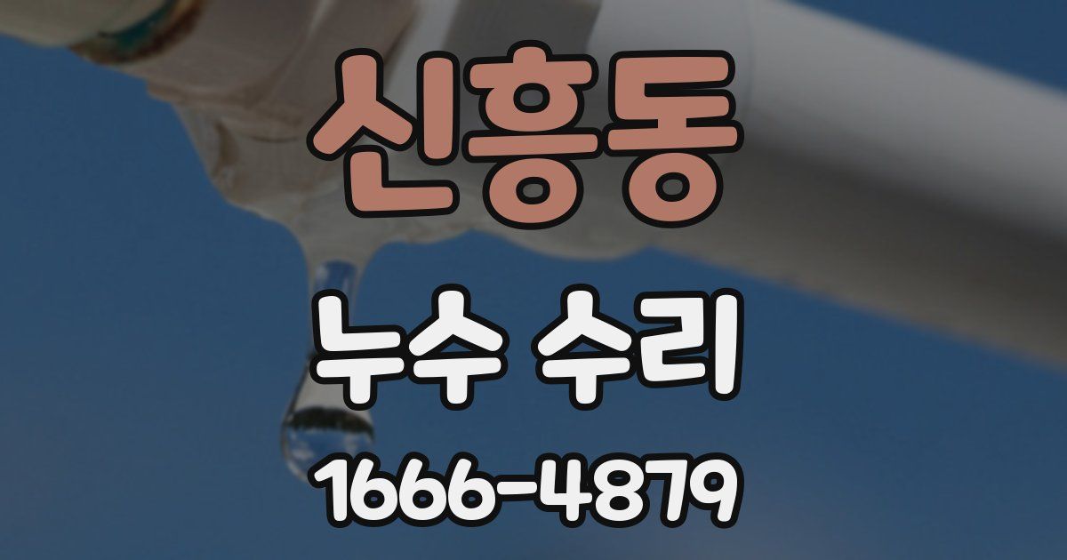 신흥동 누수 수리