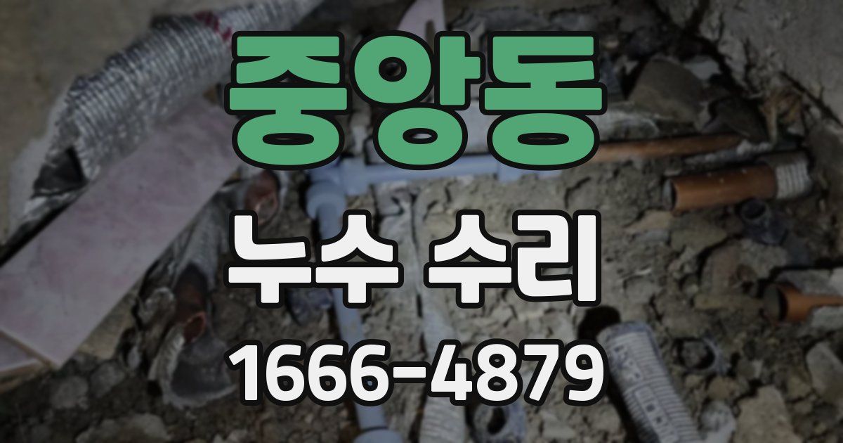 중앙동 누수 수리