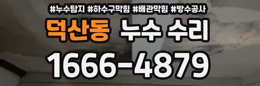 덕산동 누수 수리