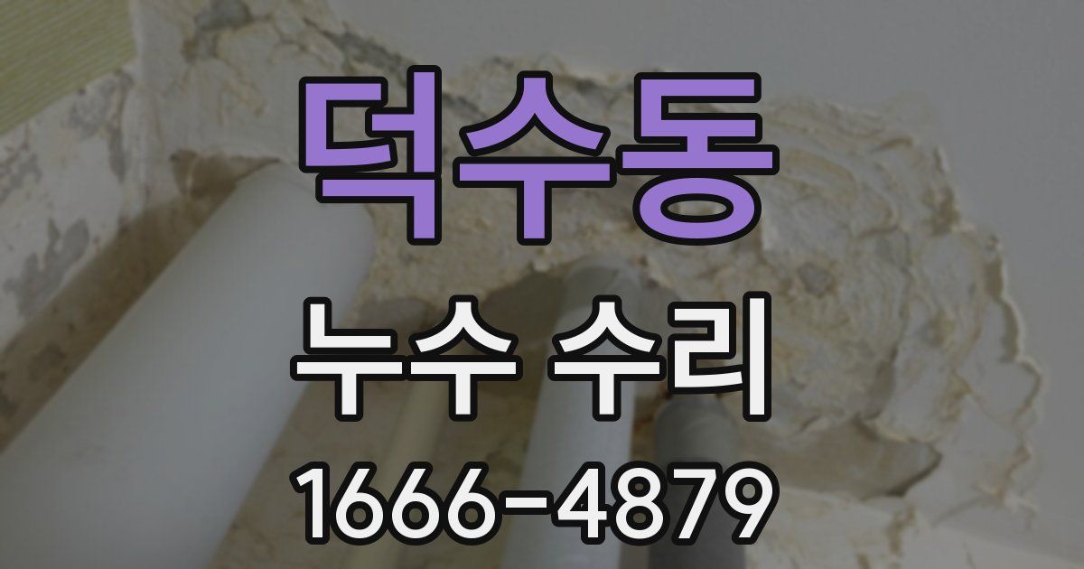 덕수동 누수 수리