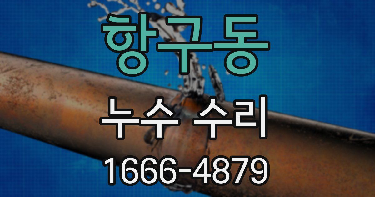 항구동 누수 수리