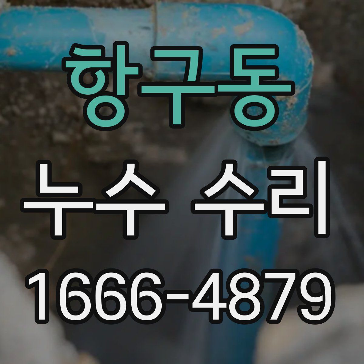 항구동 누수 수리