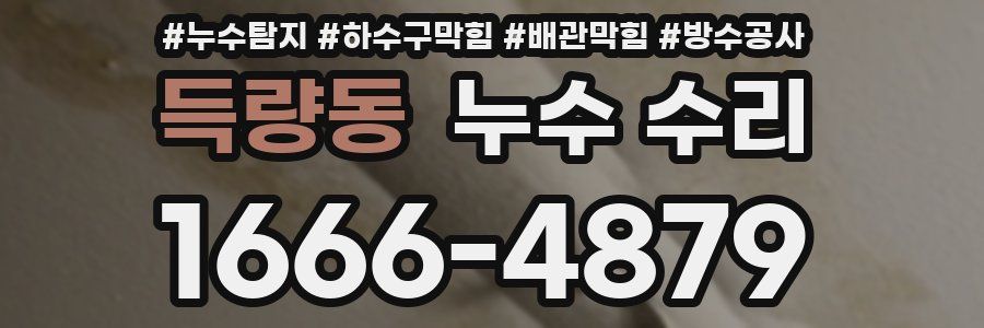 득량동 누수 수리