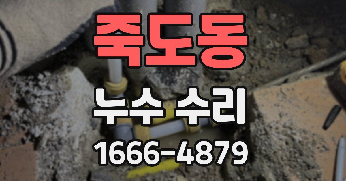 죽도동 누수 수리