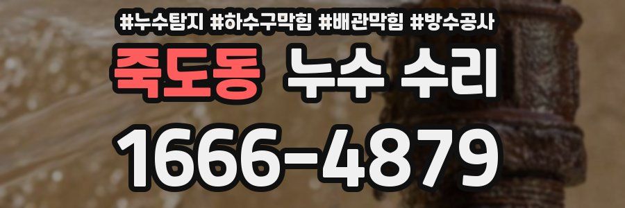 죽도동 누수 수리