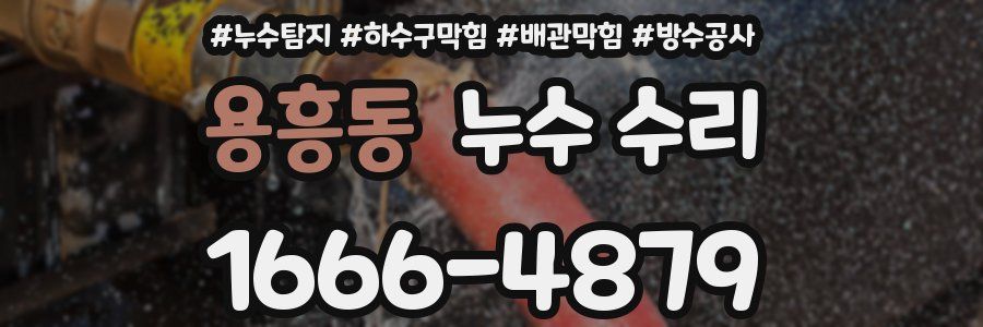 용흥동 누수 수리