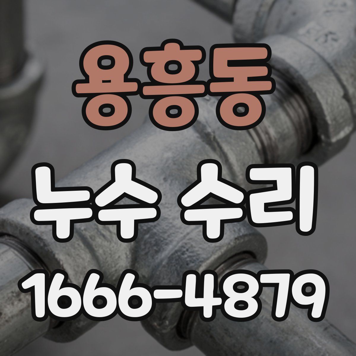 용흥동 누수 수리