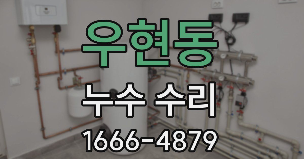 우현동 누수 수리
