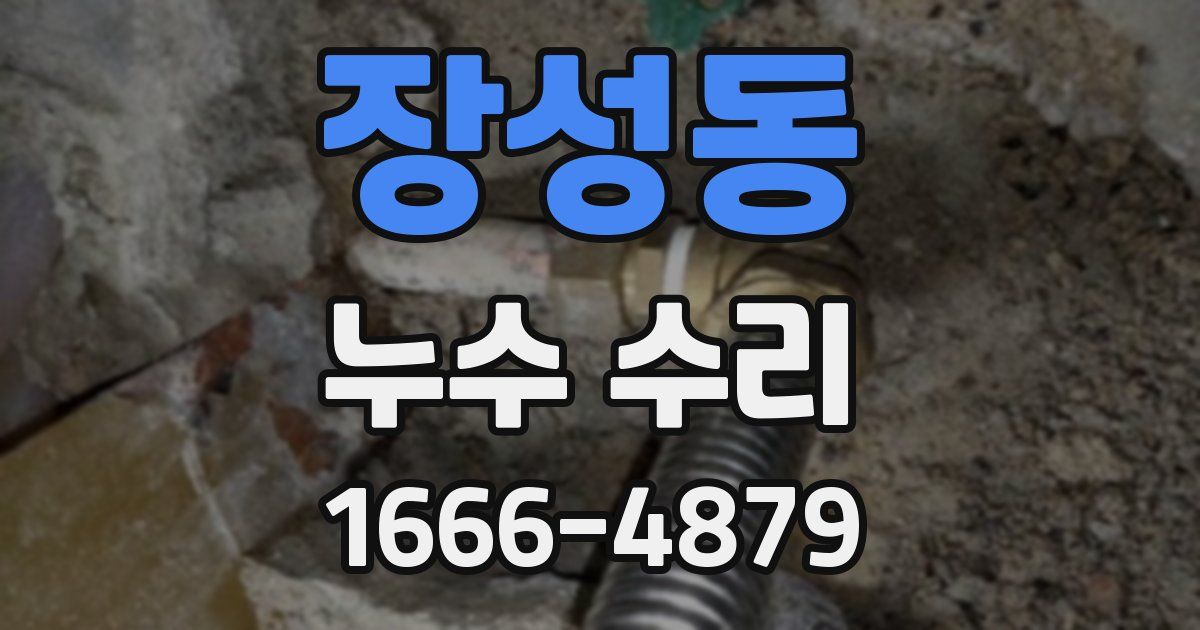 장성동 누수 수리