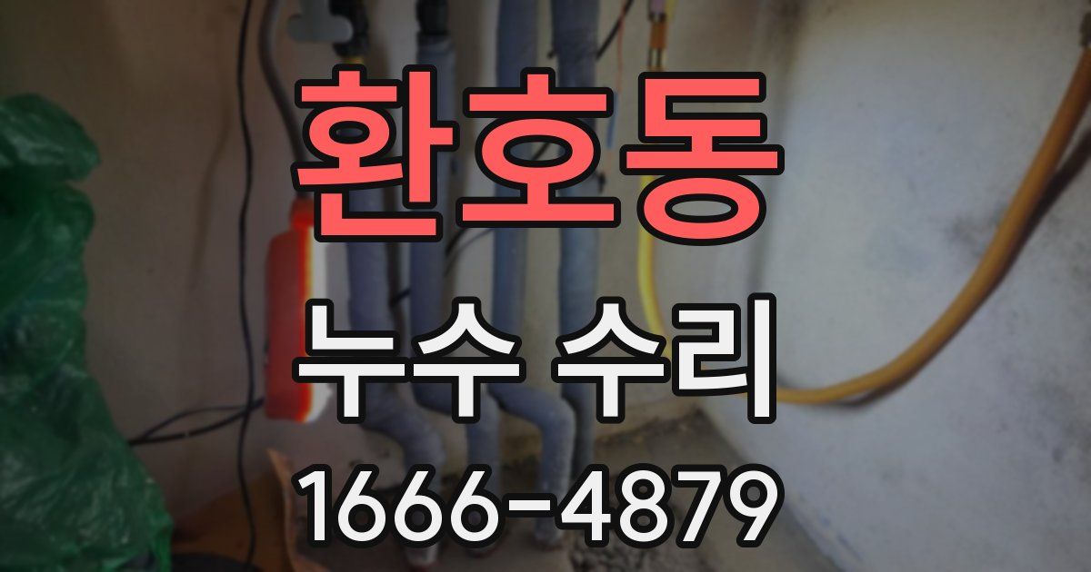 환호동 누수 수리